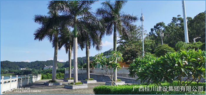 图片33.jpg
